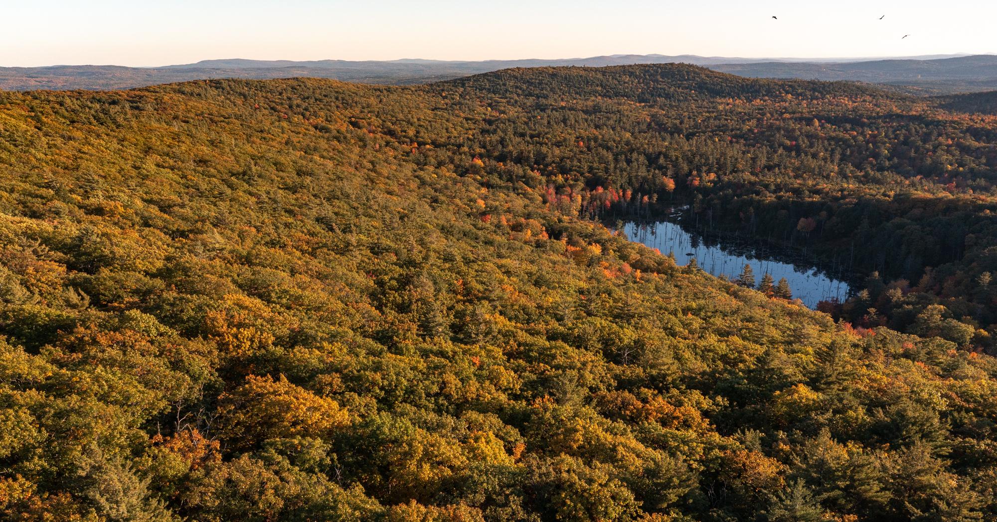 Morse Preserve Addition