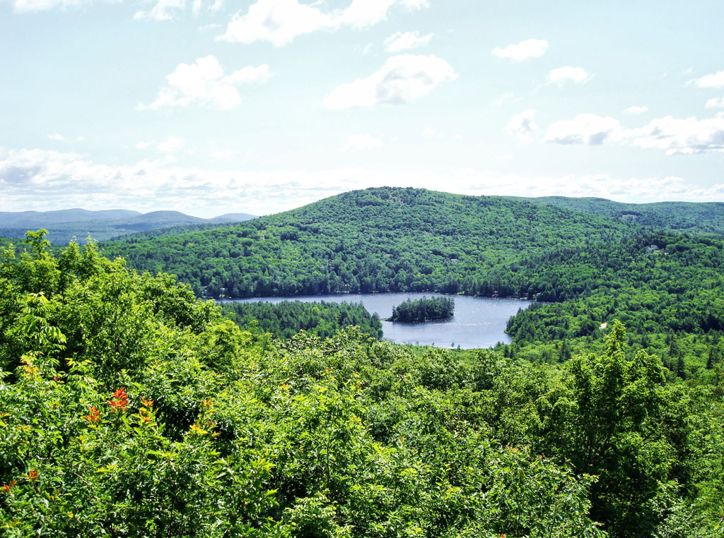 View of Hills Pond from Mount Shannon